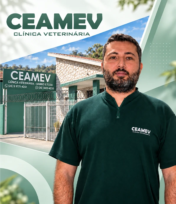 sobre a clinica veterinaria em itajuba