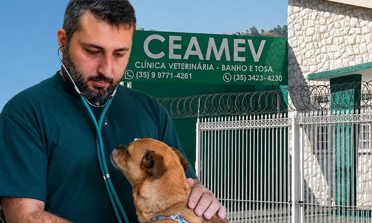 Veterinário em Itajubá atendendo cachorro em consulta na clínica CEAMEV