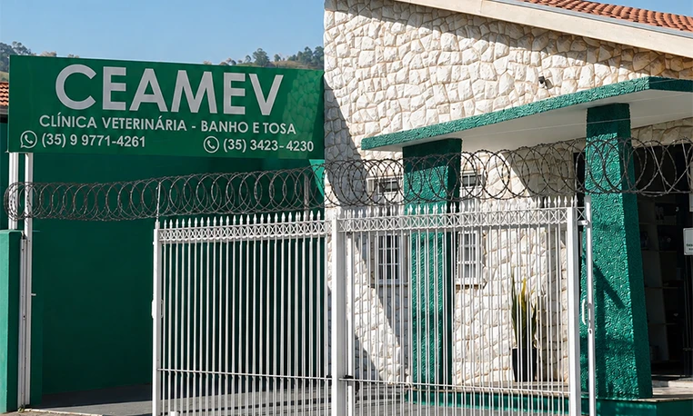 veterinario-em-itajuba