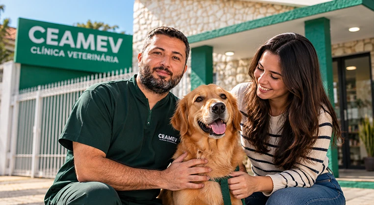 cachorro vomitando o que fazer ? 
