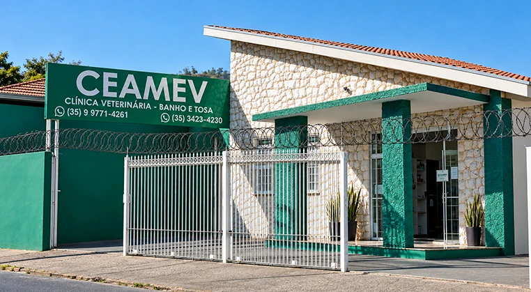 Local de vacinação de cães e gatos em Itajubá